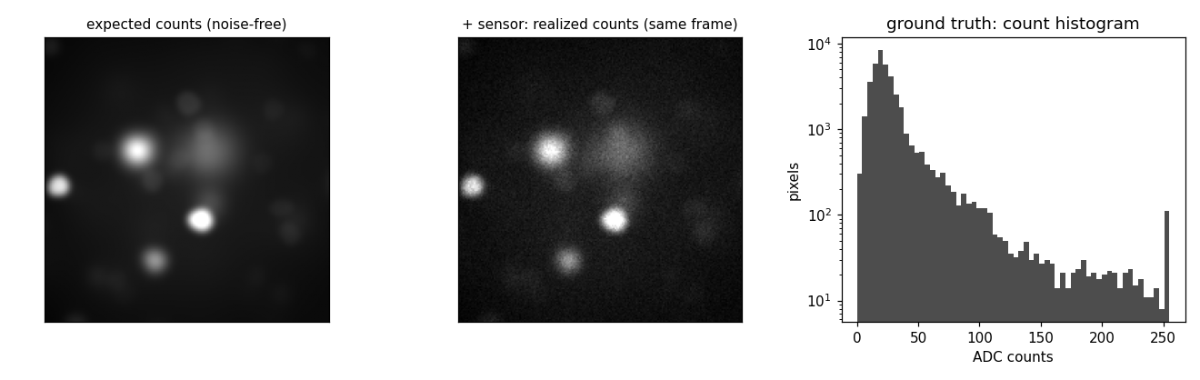 noise-free expected counts vs realized noisy counts, and the ADC count histogram