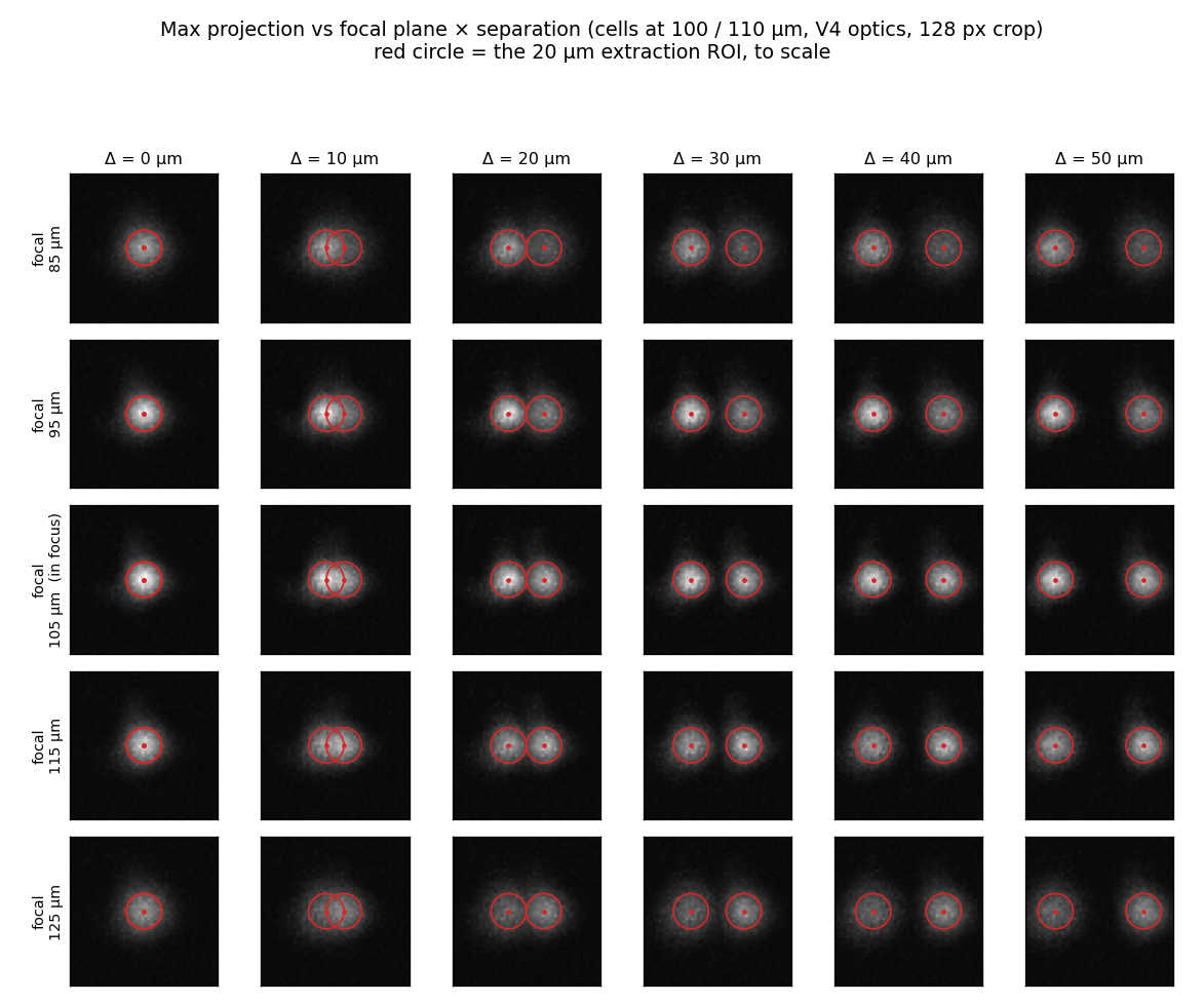 a 5x6 grid of max-projection thumbnails over focal plane and separation, each with the ROI drawn to scale
